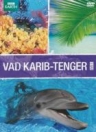 VAD KARIB-TENGER 2.