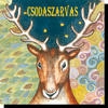 CSODASZARVAS