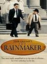 THE RAINMARKER