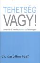 TEHETSÉGES VAGY!