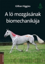 A LÓ MOZGÁSÁNAK BIOMECHANIKÁJA