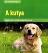 A KUTYA - HÁZI KEDVENCEINK