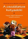 A CSODÁLATOS KUTYADOKI