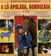 A LÓ ÁPOLÁSA, GONDOZÁSA - KEZDŐ LOVASOK KÉZIK