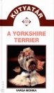 A YORKSHIRE TERRIER - KUTYATÁR