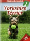 YORKSHIRE TERRIER - HÁZI KEDVENCEINK 1.