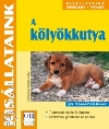A KÖLYÖKKUTYA - KISÁLLATAINK JÓTANÁCSOKKAL